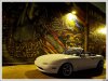 ai46.photobucket.com_albums_f123_CE28N_Paul_20Melrose_20shoot_P1013749.jpg