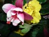 ai60.photobucket.com_albums_h24_JDMCHAT_Fakeflower.jpg