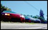 ai16.photobucket.com_albums_b22_sammyloskipr_sw16.jpg