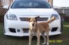 ai43.photobucket.com_albums_e362_FILAMSOCCER_100_0461.jpg