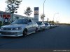 ai74.photobucket.com_albums_i244_ferio_photos_elg.jpg