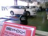 ai104.photobucket.com_albums_m163_dbendel35_VFSH0054_1.jpg