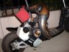 aimg.photobucket.com_albums_v466_LVmOddER_DSCF4027.jpg