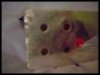 ai21.photobucket.com_albums_b254_frightmare_sale_spoon04.jpg